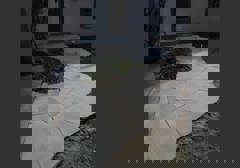 Paver Natural Stone Installations
